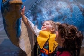 Toddler child petting play dinosaur at New Horizon Academy's dinosaur exhibit at the Minnesota Children's Museum